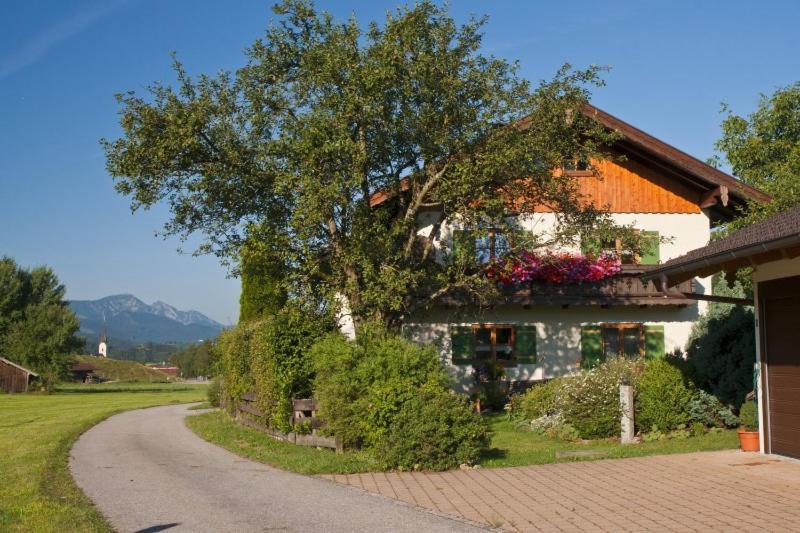 Ferienwohnung Sattler Neukirchen am Teisenberg Dış mekan fotoğraf